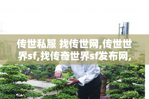 传世私服 找传世网,传世世界sf,找传奇世界sf发布网,传世世界sf