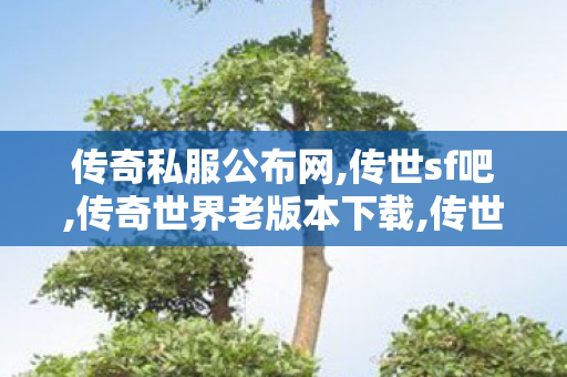 传奇私服公布网,传世sf吧,传奇世界老版本下载,传世sf吧