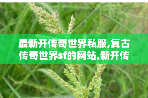 最新开传奇世界私服,复古传奇世界sf的网站,新开传奇世界私服发布网,复古传奇世界sf的网站
