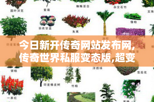 今日新开传奇网站发布网,传奇世界私服变态版,超变传世sf,传奇世界私服变态版