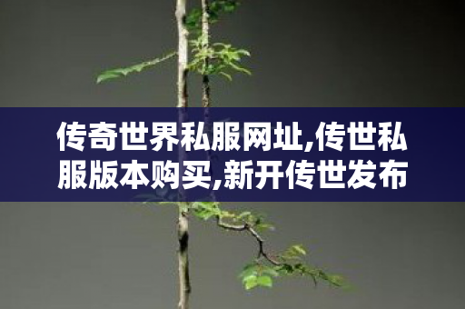 传奇世界私服网址,传世私服版本购买,新开传世发布网站,传世私服版本购买