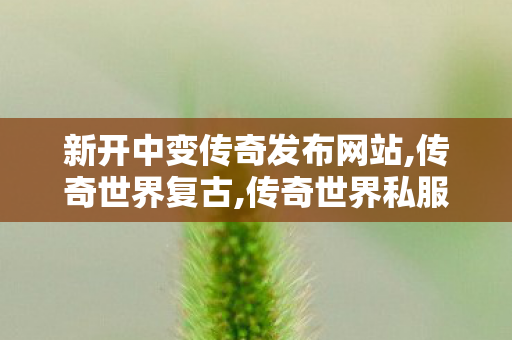 新开中变传奇发布网站,传奇世界复古,传奇世界私服网站新开网,传奇世界复古