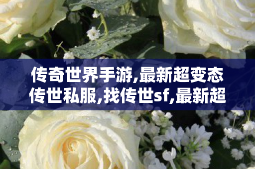 传奇世界手游,最新超变态传世私服,找传世sf,最新超变态传世私服