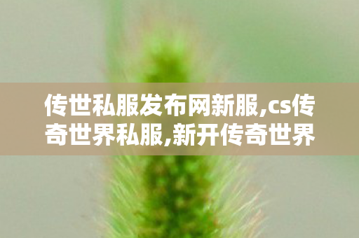 传世私服发布网新服,cs传奇世界私服,新开传奇世界私服发布网,cs传奇世界私服