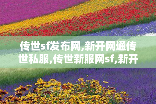 传世sf发布网,新开网通传世私服,传世新服网sf,新开网通传世私服