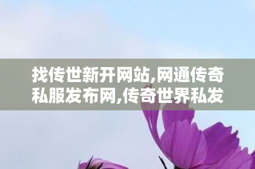 找传世新开网站,网通传奇私服发布网,传奇世界私发服网站,网通传奇私服发布网
