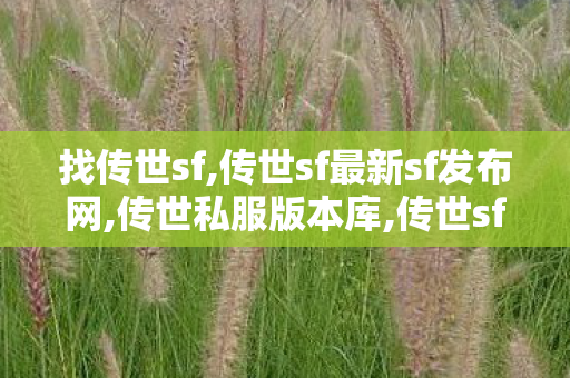 找传世sf,传世sf最新sf发布网,传世私服版本库,传世sf最新sf发布网