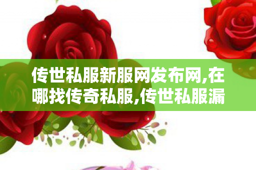 传世私服新服网发布网,在哪找传奇私服,传世私服漏洞,在哪找传奇私服