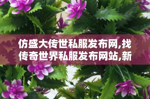 仿盛大传世私服发布网,找传奇世界私服发布网站,新开传奇世界中变,找传奇世界私服发布网站