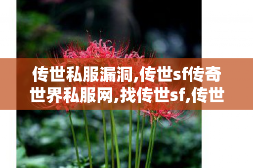 传世私服漏洞,传世sf传奇世界私服网,找传世sf,传世sf传奇世界私服网