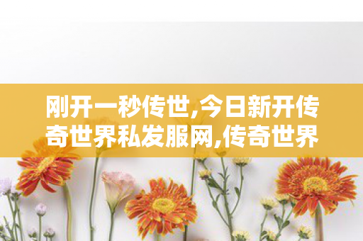刚开一秒传世,今日新开传奇世界私发服网,传奇世界中变私发服网,今日新开传奇世界私发服网