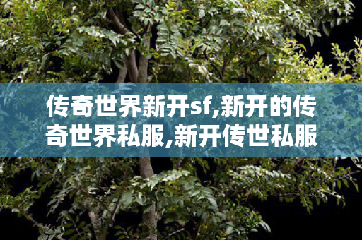 传奇世界新开sf,新开的传奇世界私服,新开传世私服网站,新开的传奇世界私服