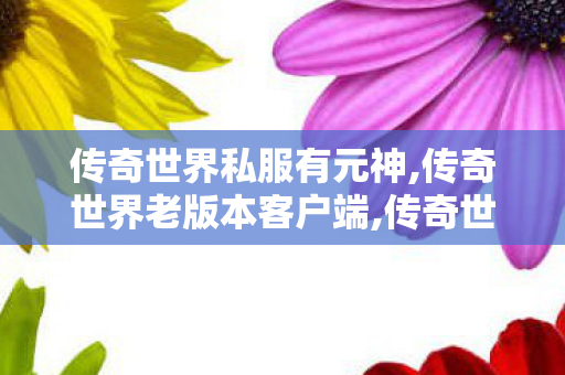 传奇世界私服有元神,传奇世界老版本客户端,传奇世界私服发布网最新,传奇世界老版本客户端