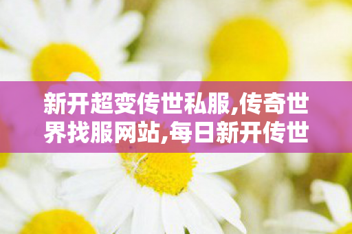 新开超变传世私服,传奇世界找服网站,每日新开传世私服,传奇世界找服网站
