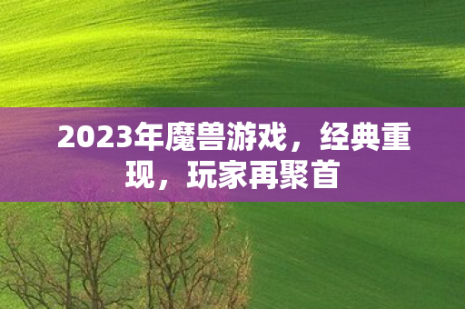 2023年魔兽游戏，经典重现，玩家再聚首