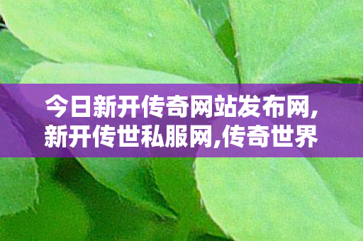 今日新开传奇网站发布网,新开传世私服网,传奇世界0私服,新开传世私服网
