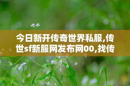 今日新开传奇世界私服,传世sf新服网发布网00,找传奇世界私服网址,传世sf新服网发布网00