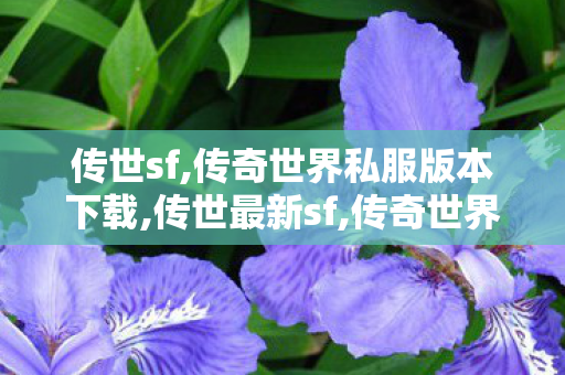 传世sf,传奇世界私服版本下载,传世最新sf,传奇世界私服版本下载