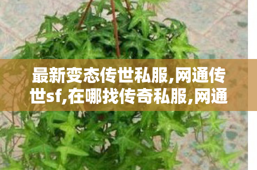 最新变态传世私服,网通传世sf,在哪找传奇私服,网通传世sf