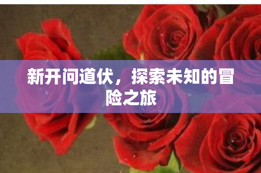 新开问道伏，探索未知的冒险之旅