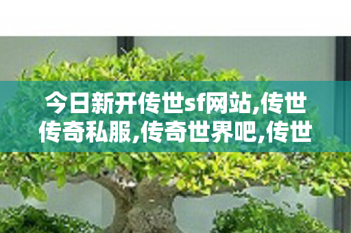 今日新开传世sf网站,传世传奇私服,传奇世界吧,传世传奇私服