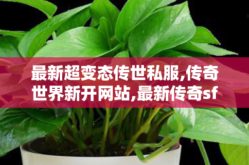 最新超变态传世私服,传奇世界新开网站,最新传奇sf发布网站,传奇世界新开网站