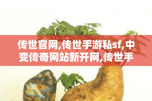 传世官网,传世手游私sf,中变传奇网站新开网,传世手游私sf