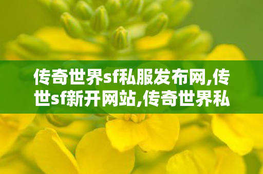 传奇世界sf私服发布网,传世sf新开网站,传奇世界私服最新发布网,传世sf新开网站