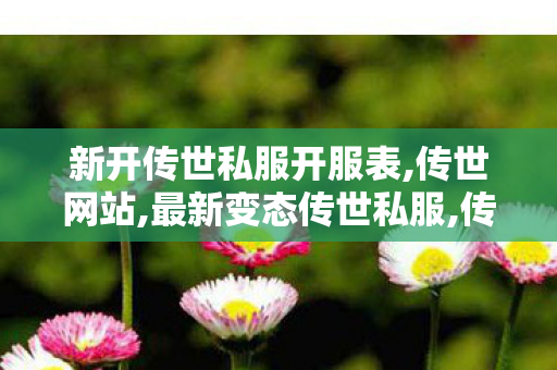 新开传世私服开服表,传世网站,最新变态传世私服,传世网站