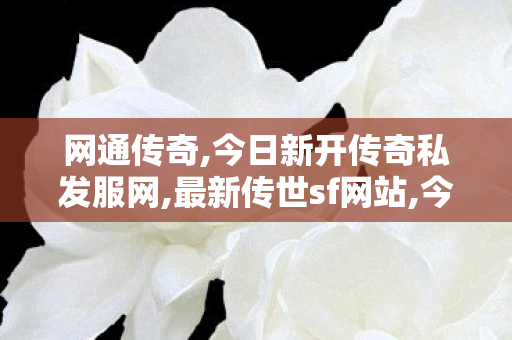 网通传奇,今日新开传奇私发服网,最新传世sf网站,今日新开传奇私发服网