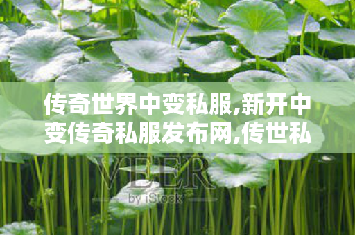 传奇世界中变私服,新开中变传奇私服发布网,传世私发服网sf,新开中变传奇私服发布网