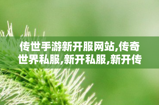传世手游新开服网站,传奇世界私服,新开私服,新开传奇世界私服网站发布网,传奇世界私服,新开私服
