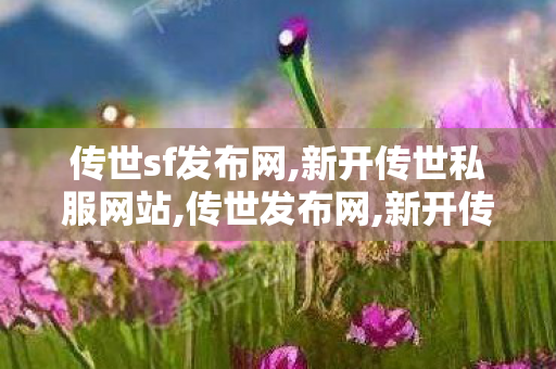 传世sf发布网,新开传世私服网站,传世发布网,新开传世私服网站