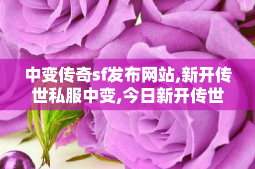 中变传奇sf发布网站,新开传世私服中变,今日新开传世,新开传世私服中变