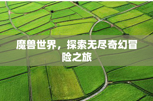 魔兽世界，探索无尽奇幻冒险之旅