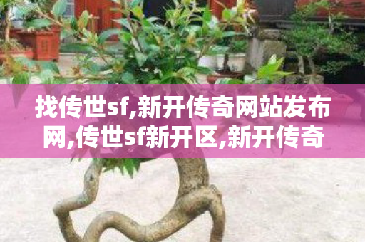 找传世sf,新开传奇网站发布网,传世sf新开区,新开传奇网站发布网
