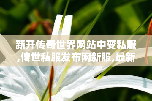 新开传奇世界网站中变私服,传世私服发布网新服,最新传奇世界sf发布网,传世私服发布网新服