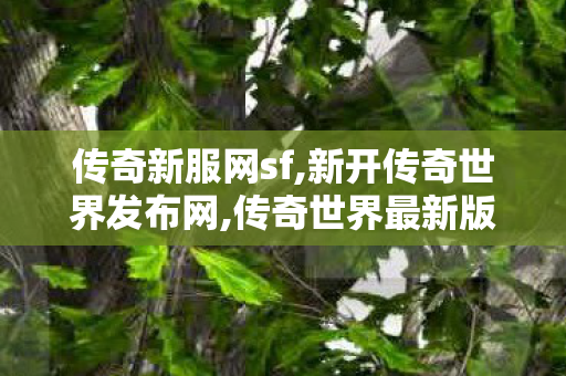 传奇新服网sf,新开传奇世界发布网,传奇世界最新版本,新开传奇世界发布网