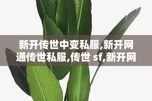 新开传世中变私服,新开网通传世私服,传世 sf,新开网通传世私服