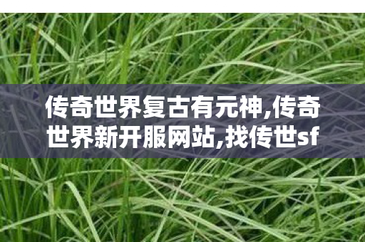 传奇世界复古有元神,传奇世界新开服网站,找传世sf,传奇世界新开服网站