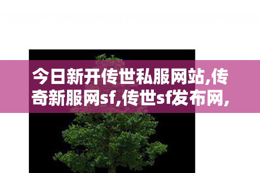 今日新开传世私服网站,传奇新服网sf,传世sf发布网,传奇新服网sf