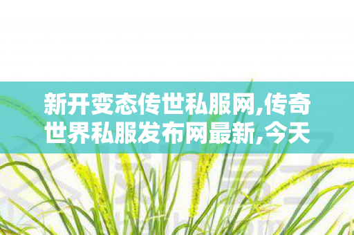 新开变态传世私服网,传奇世界私服发布网最新,今天新开传奇世界私服,传奇世界私服发布网最新