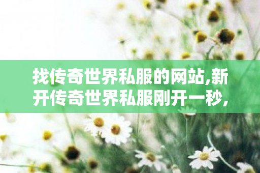 找传奇世界私服的网站,新开传奇世界私服刚开一秒,中变私服发布网,新开传奇世界私服刚开一秒