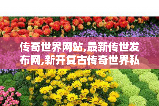 传奇世界网站,最新传世发布网,新开复古传奇世界私服,最新传世发布网
