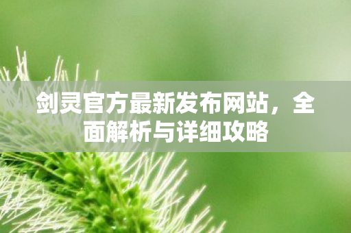 剑灵官方最新发布网站，全面解析与详细攻略