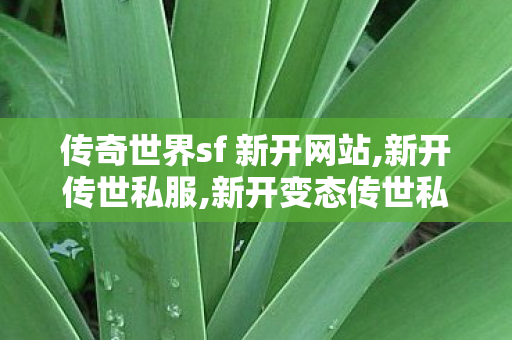 传奇世界sf 新开网站,新开传世私服,新开变态传世私服网,新开传世私服