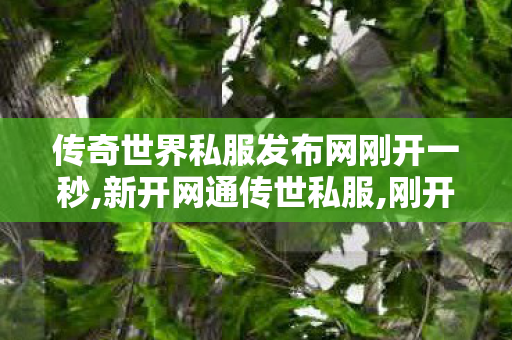 传奇世界私服发布网刚开一秒,新开网通传世私服,刚开一秒传世,新开网通传世私服