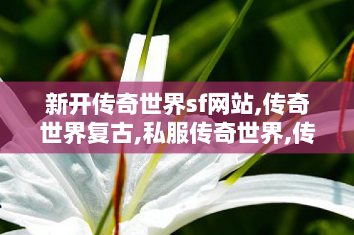 新开传奇世界sf网站,传奇世界复古,私服传奇世界,传奇世界复古