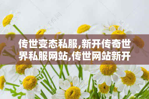 传世变态私服,新开传奇世界私服网站,传世网站新开网,新开传奇世界私服网站