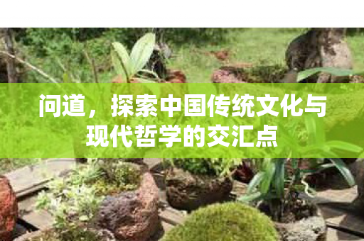 问道，探索中国传统文化与现代哲学的交汇点